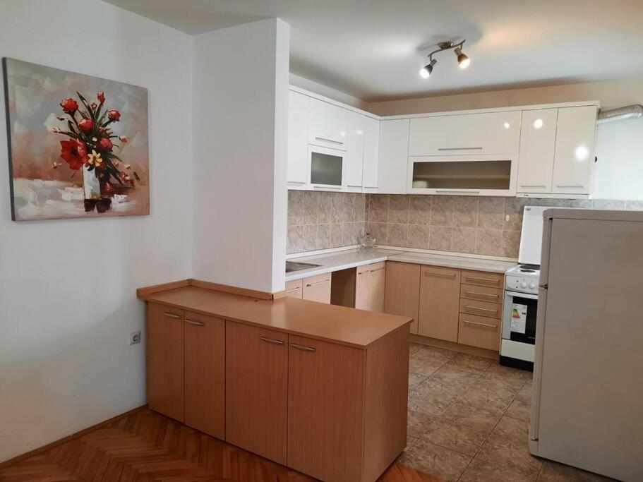 Apartman Lan - Free Parking Vranje Exterior foto